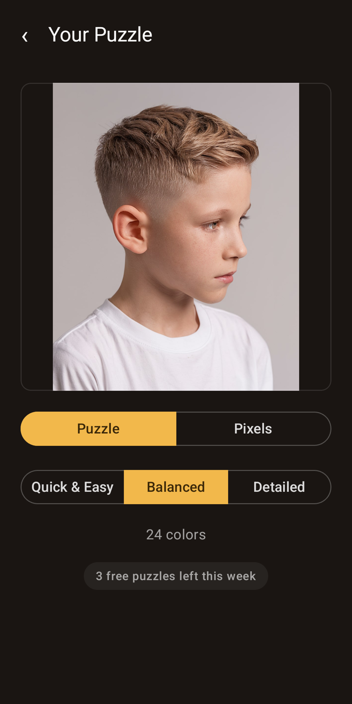 Choosing a photo and difficulty in SnapPaint